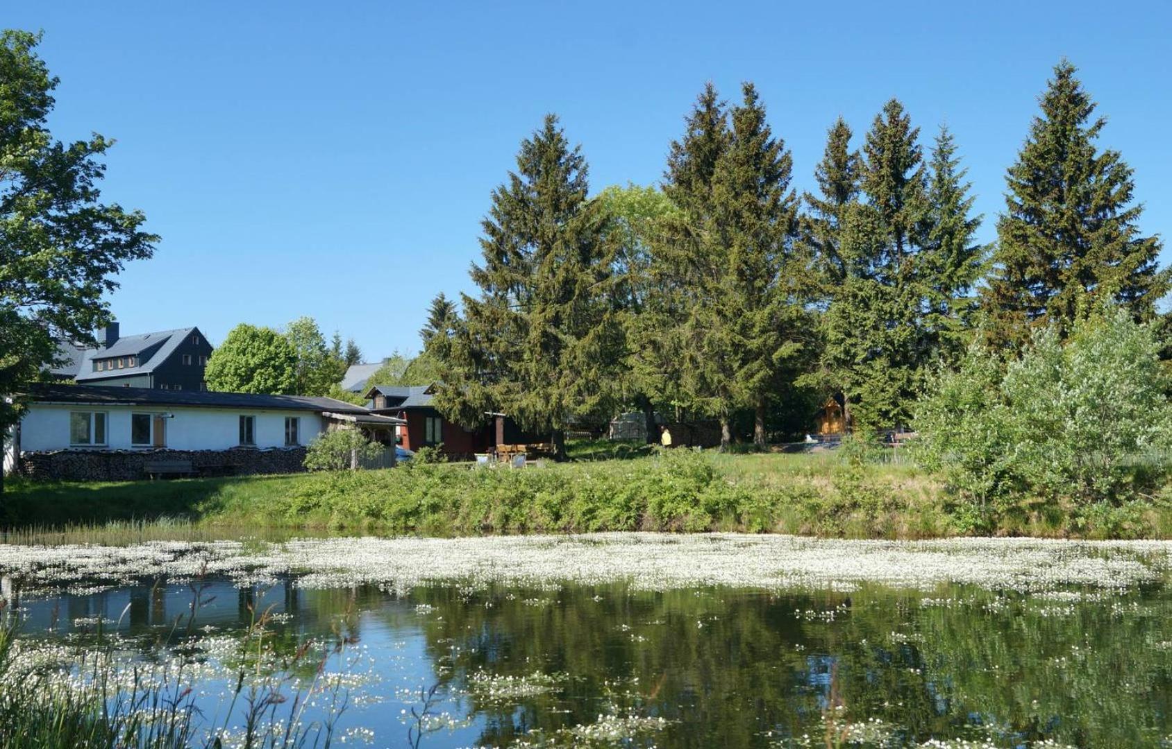 Kammbaude Neuhermsdorf Kültér fotó